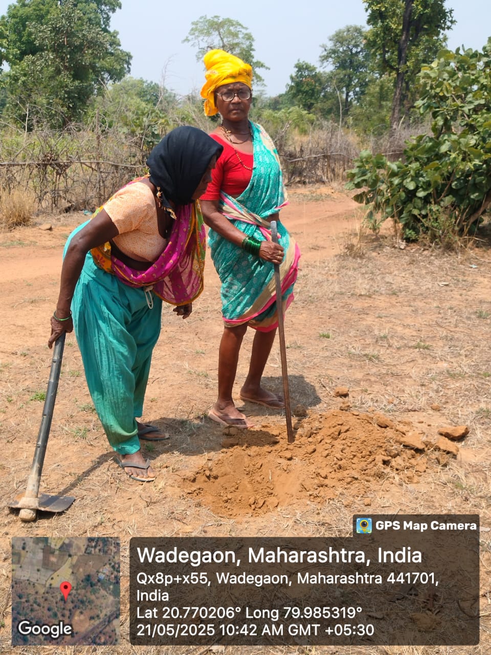 वन महोत्सव - सामुदायिक वृक्षारोपण